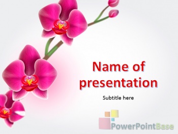 Скачать Шаблон PowerPoint №503 для презентации бесплатно