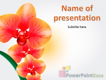 Скачать Шаблон PowerPoint №504 для презентации бесплатно